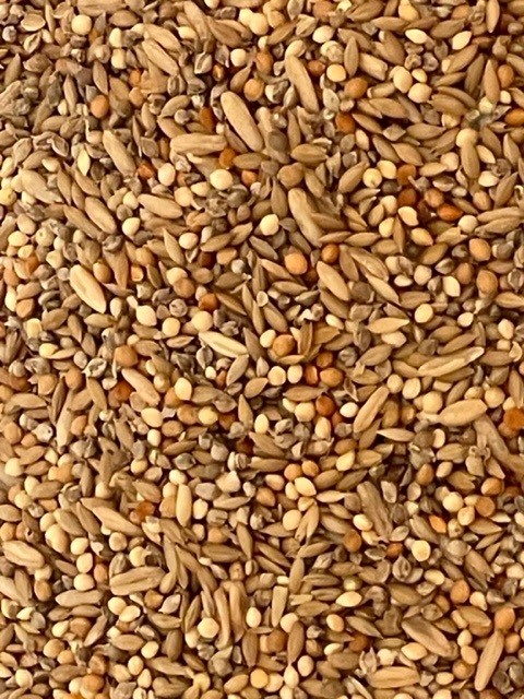 2kg Canary Seed Mix